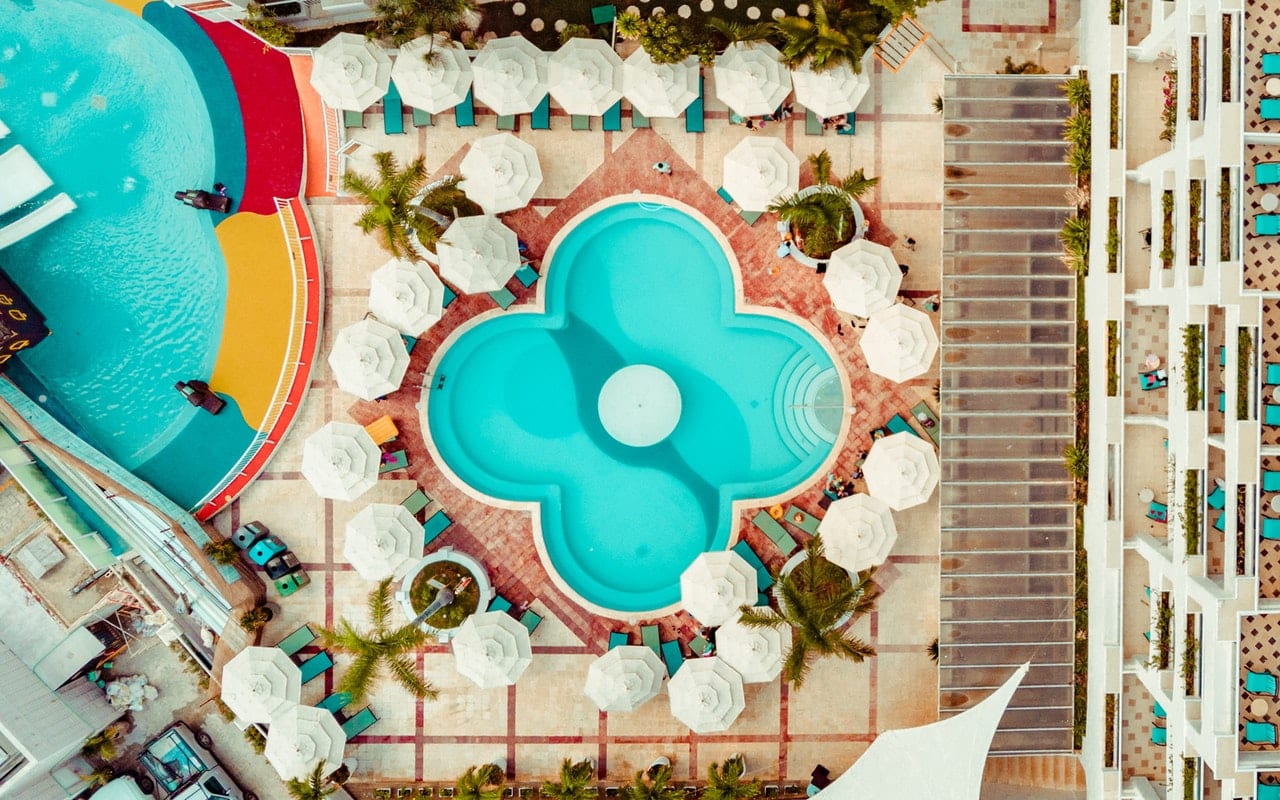 pexels-leonardo-rossatti-2646097 Green Flower Pool